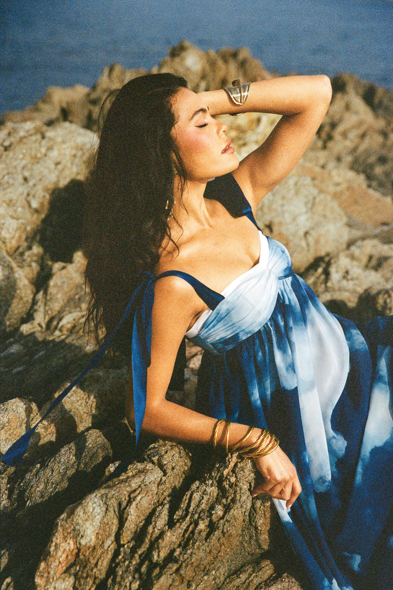 Printed Pleated Chiffon Dress - Blue