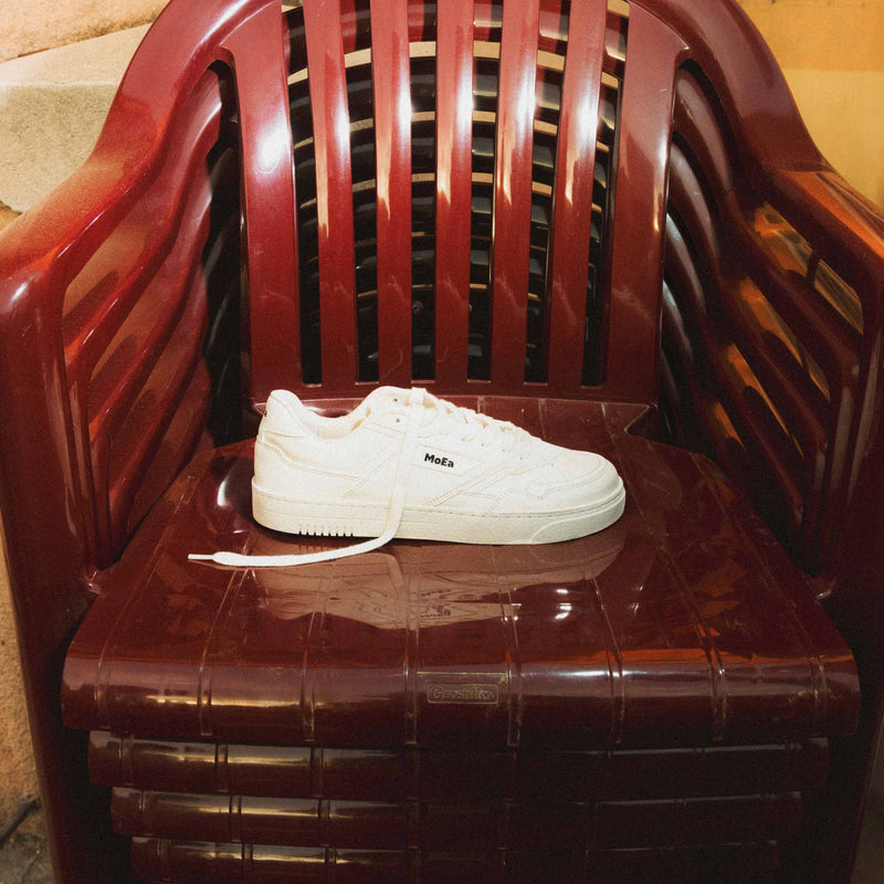 Baskets Gen9 - Corn Pure White Grained