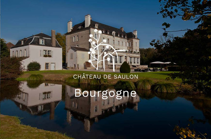 Château de Saulon