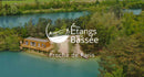 The Ponds of La Bassée