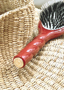 N.02 La Brosse Démêlante & Soin L'Indispensable Terre Battue