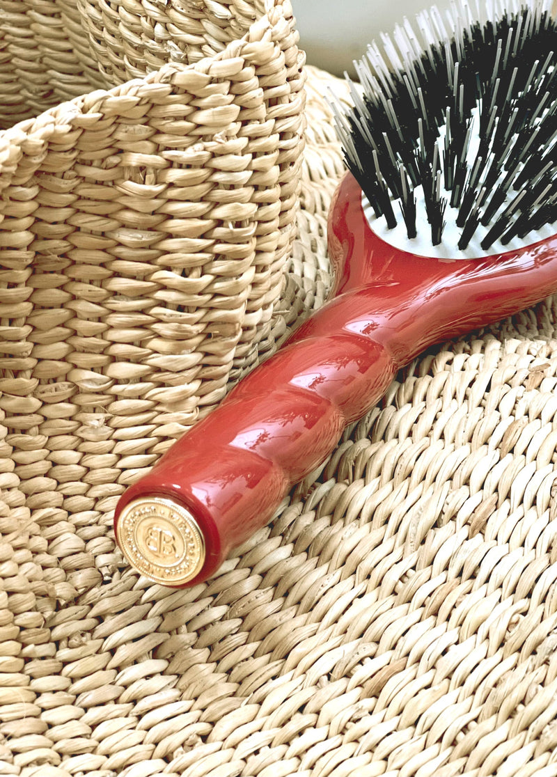 N.02 La Brosse Démêlante & Soin L'Indispensable Terre Battue