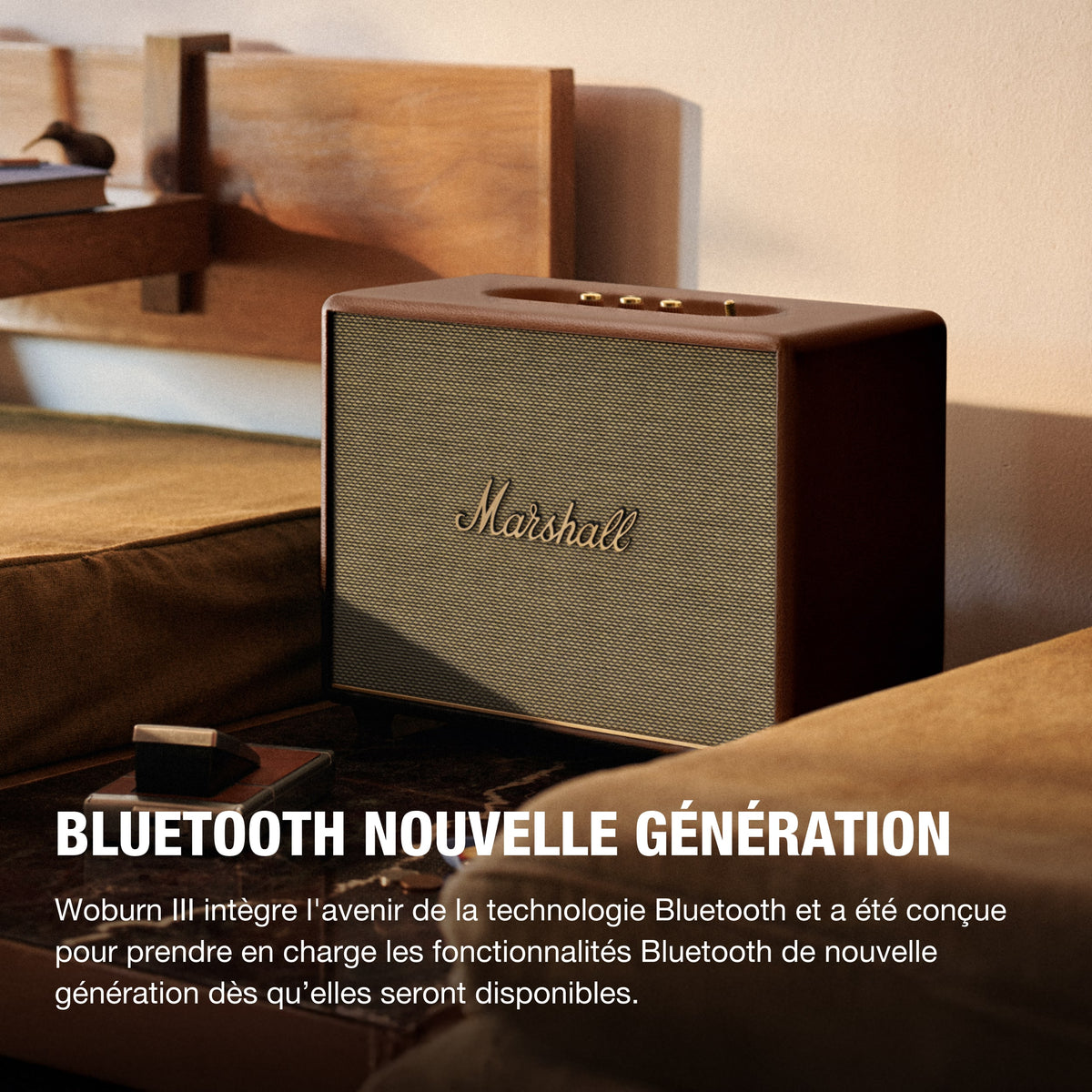 Enceinte Résidentielle - Woburn III - Brown