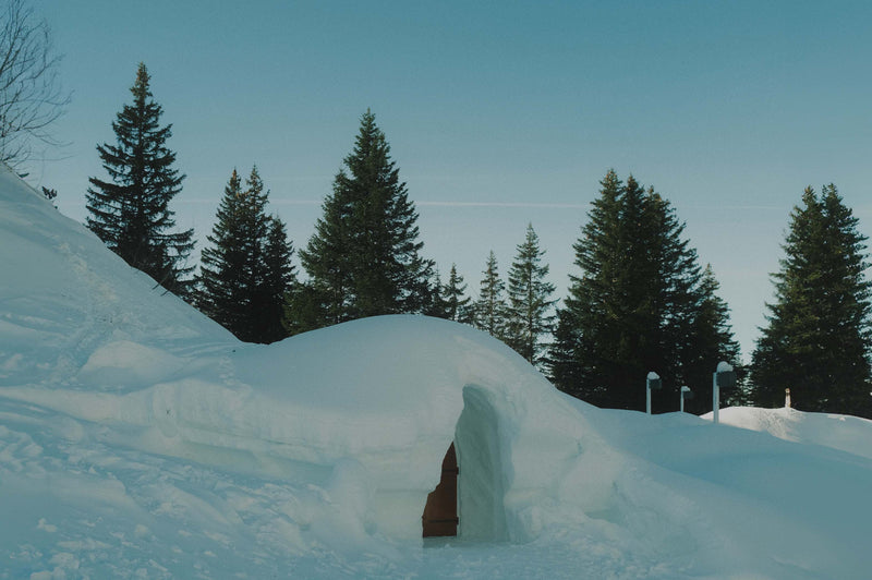 Village Igloo