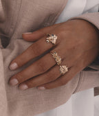 Ring Lipa