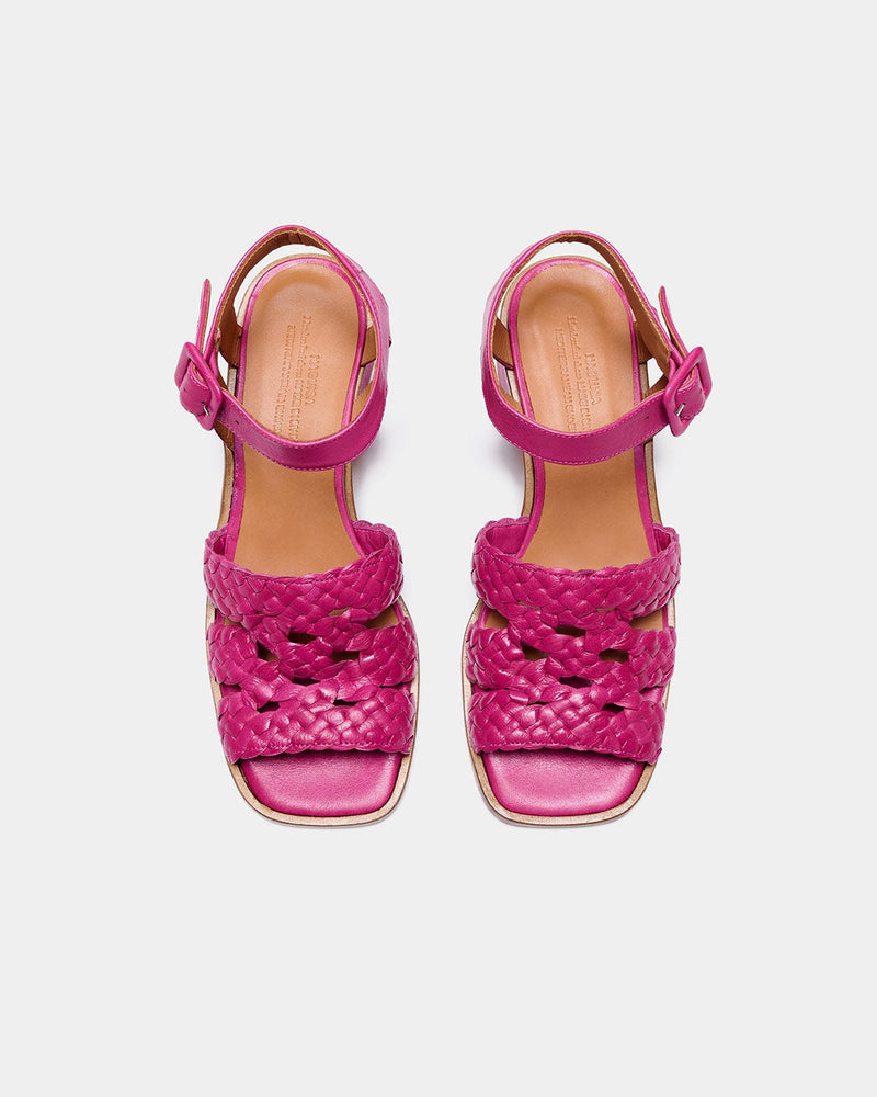 Fred Fucsia