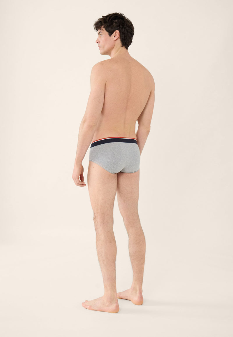 Slip Gris En Coton Avec Cocarde - Terrible Gris Chine