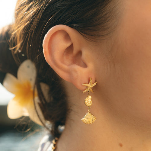 Boucles d'oreilles acier inoxydable femme été étoile de mer et coquillages 