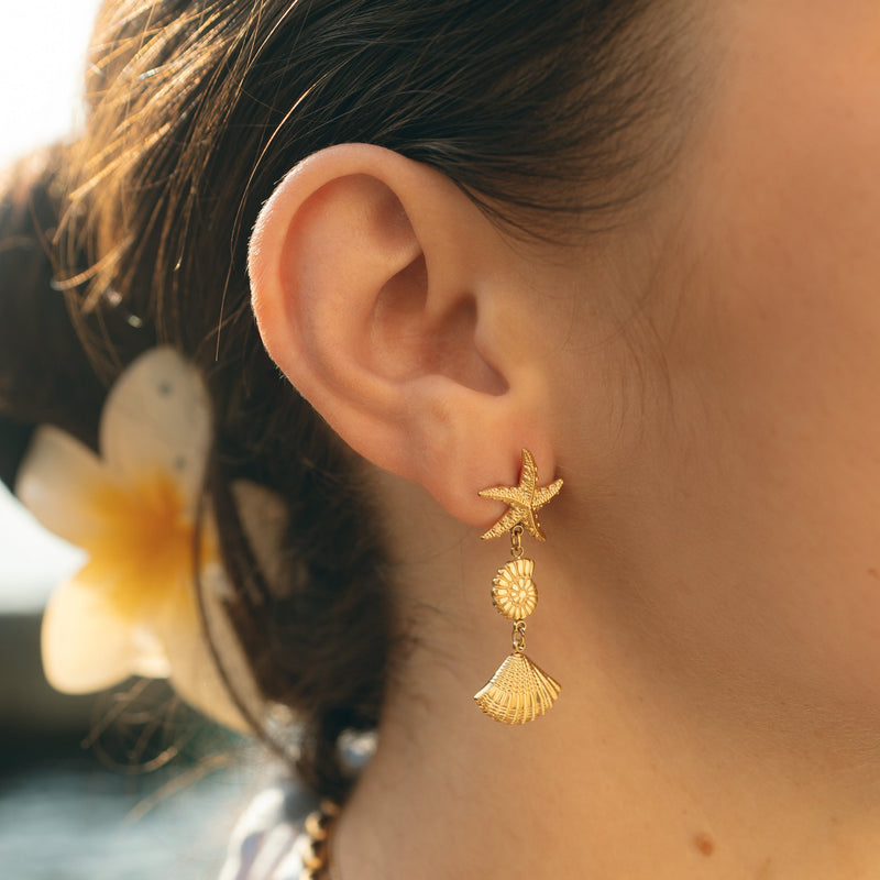 Boucles d'oreilles acier inoxydable femme été étoile de mer et coquillages 