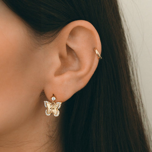 Boucle Papillon Butterfly