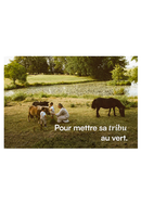 Carte cadeau pour une nuit insolite