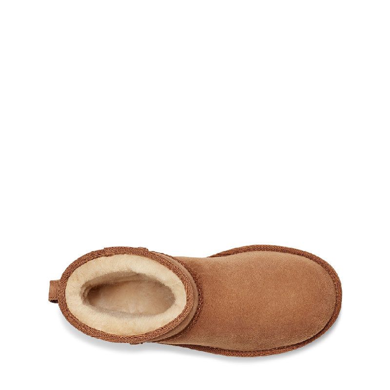 Bottes Ugg Classic Mini Ii - Chestnut