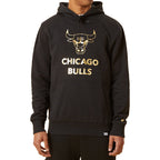 Sweat À Capuche New Era Nba Metallic Chibul