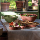 Couverts À Salade "Tierra"