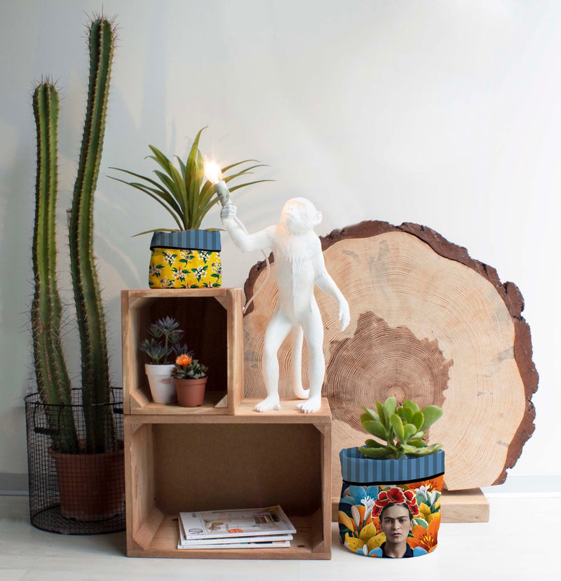 Plant Pot - Primavera - Multicolor