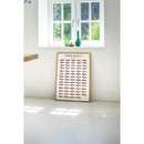 Ferrari F1 - Cars Overview 2024