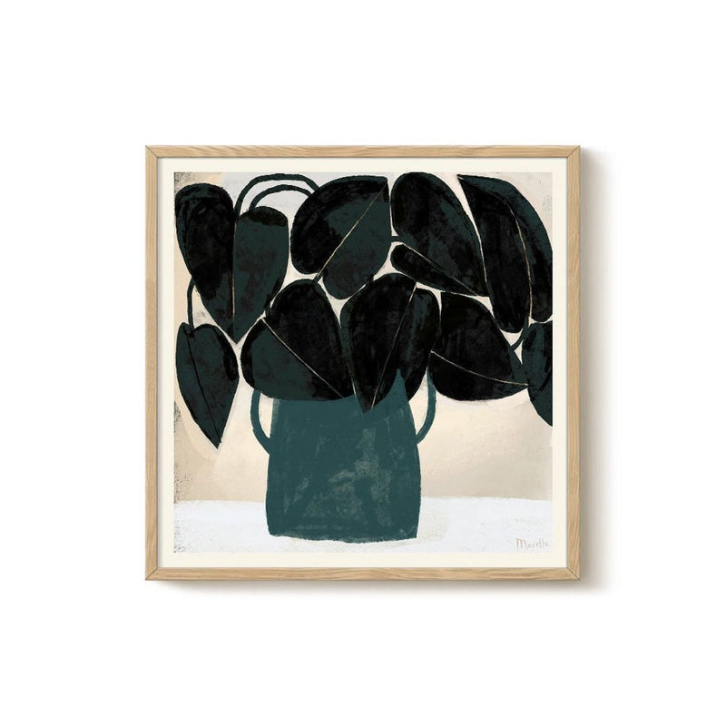 Marco - Plant II