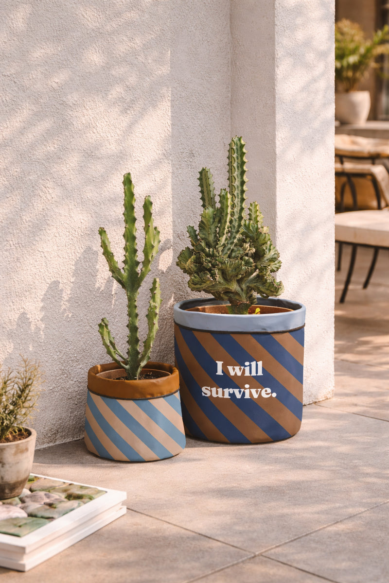 Cache-Pot "I will Survive"