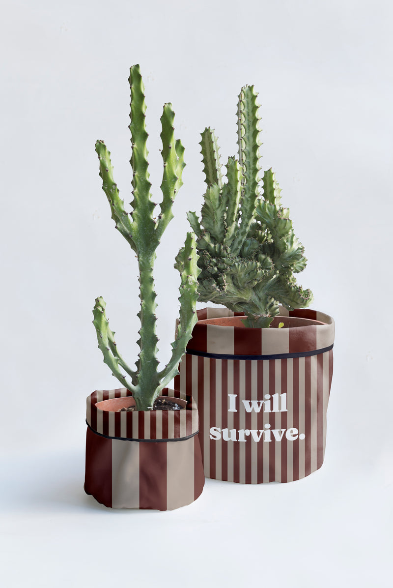 Cache-Pot "Will Survive"