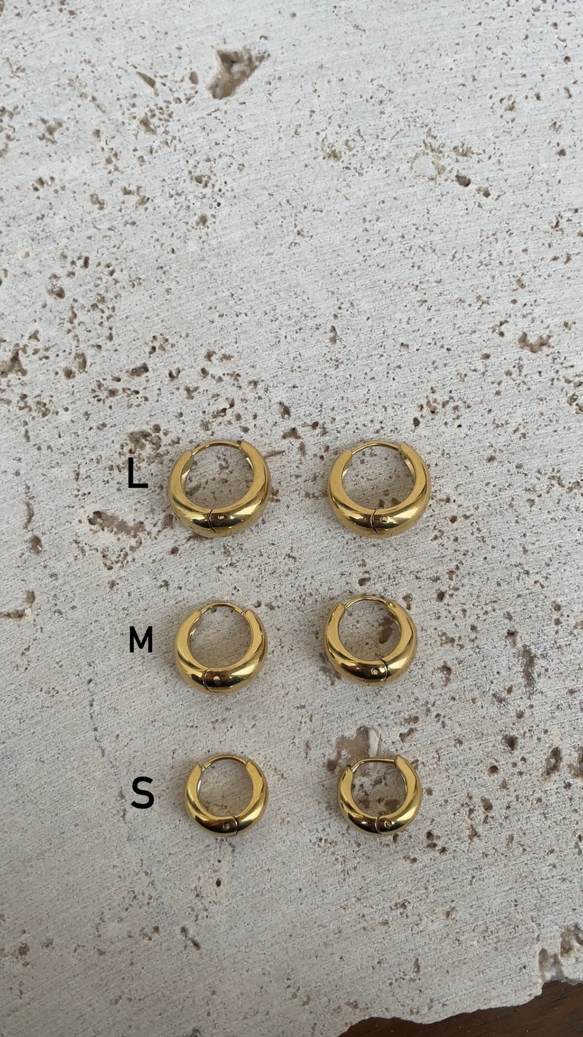 Everyday Hoops Earrings