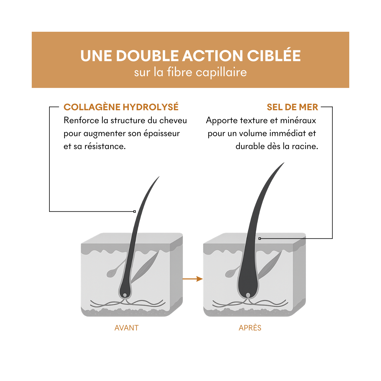 Protocolo para cabello fino