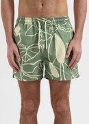 Short De Bain Plants - Green