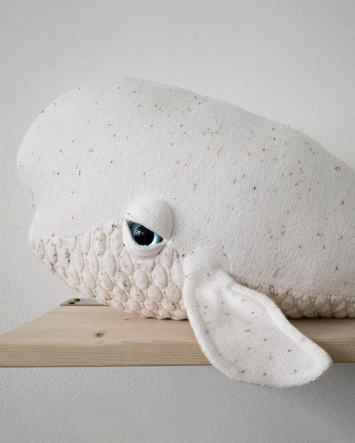 The Beluga