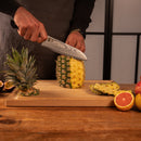 Hashi Damascus Collection - Complete Set of 5 Knives