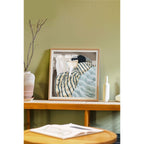 Marco - Winter Holidays