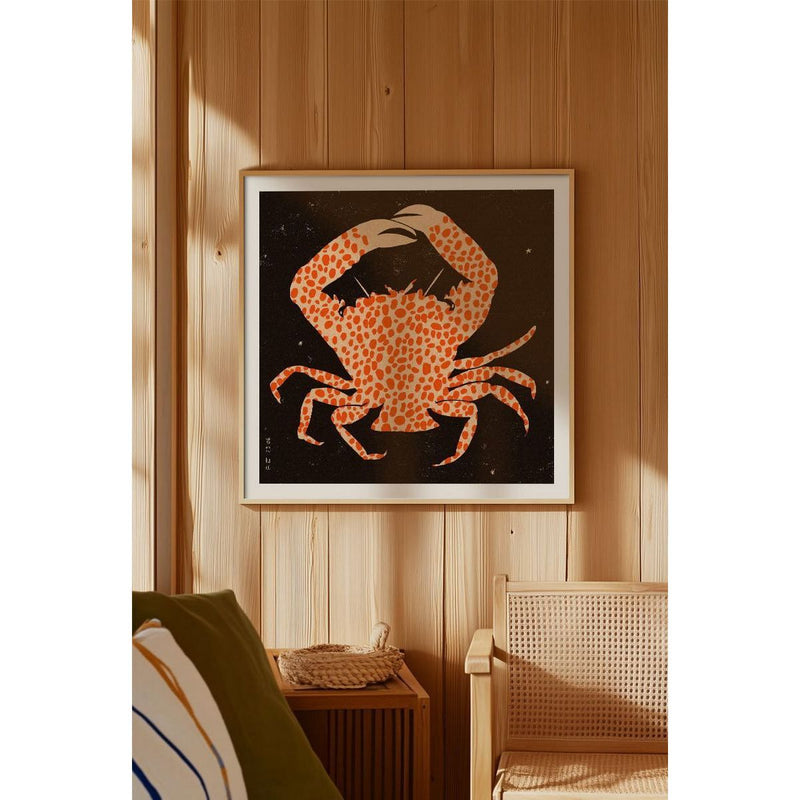 Enikő Eged - Spotted Calico Crab