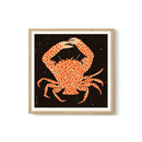 Enikő Eged - Spotted Calico Crab