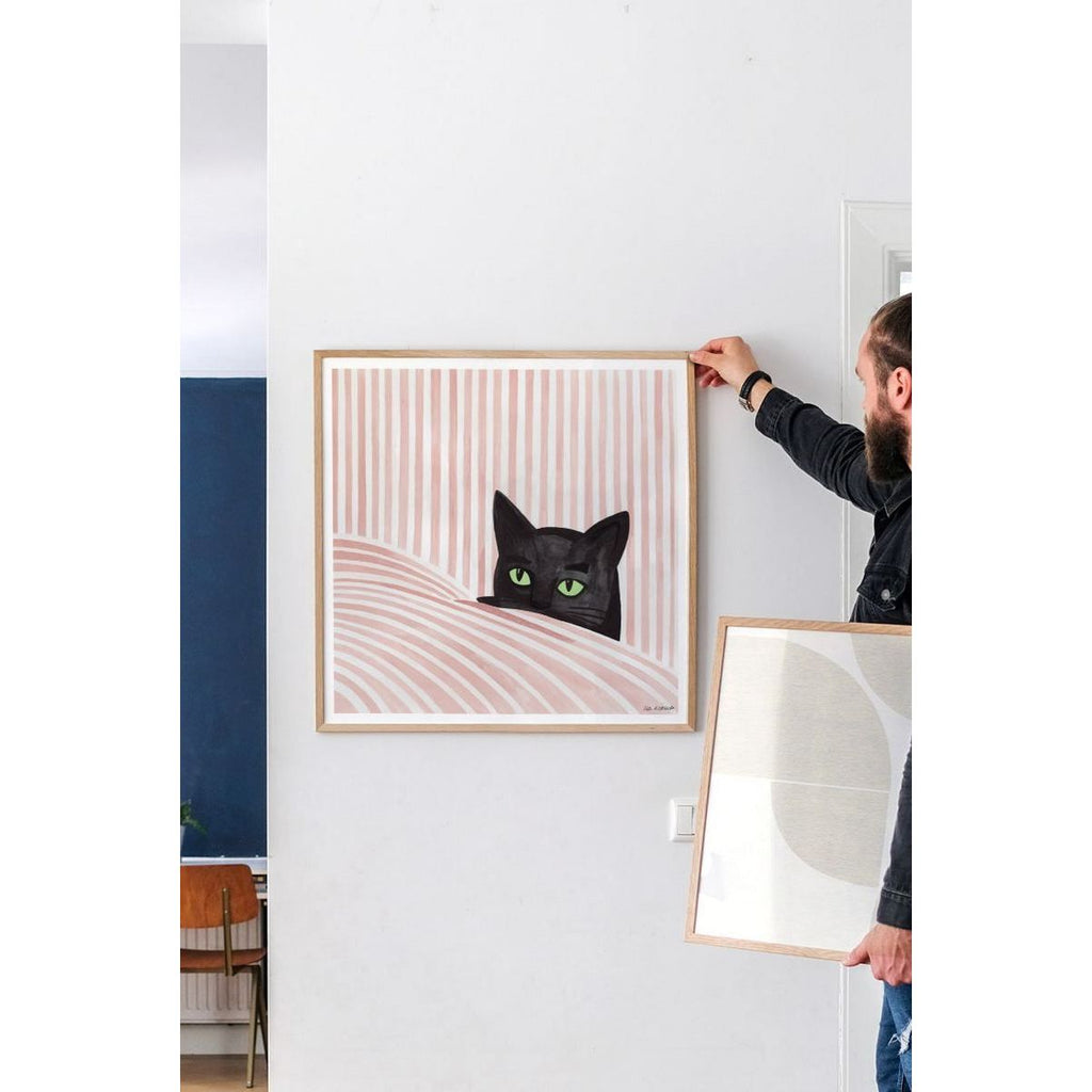 Iga Kosicka - Gato negro