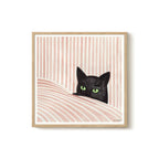 Iga Kosicka - Gato negro