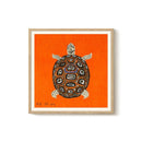 Enikő Eged - Tortuga Naranja