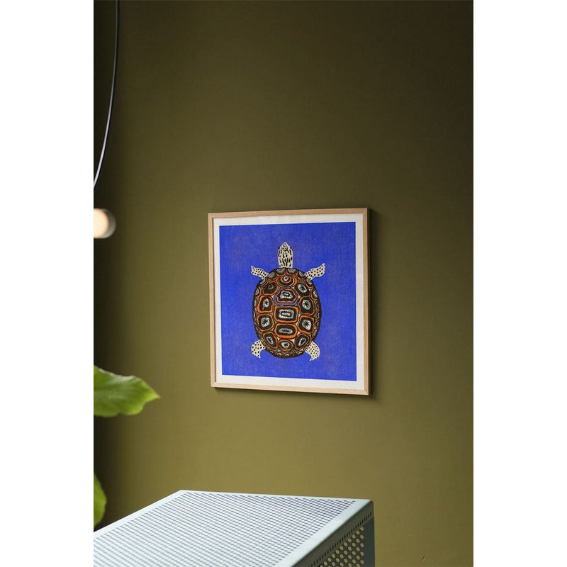 Enikő Eged - Tortuga Azul