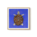 Enikő Eged - Tortuga Azul
