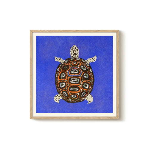Enikő Eged - Turtle Blue