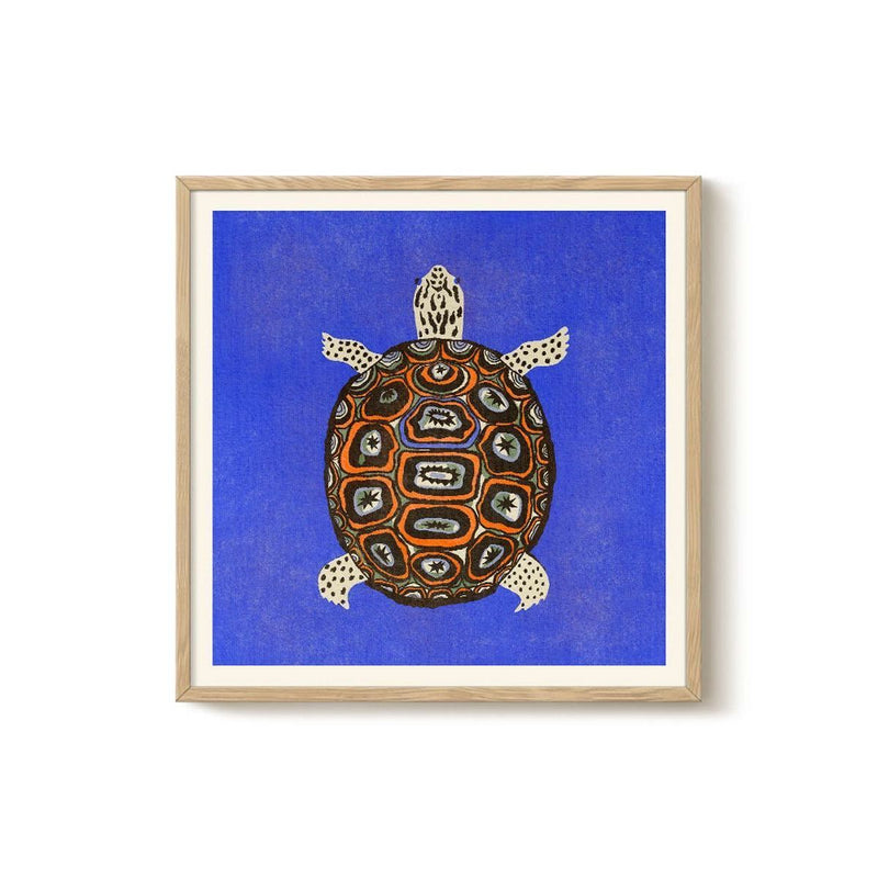 Enikő Eged - Tortuga Azul