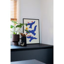 Abbie Franks - Sol De Verano