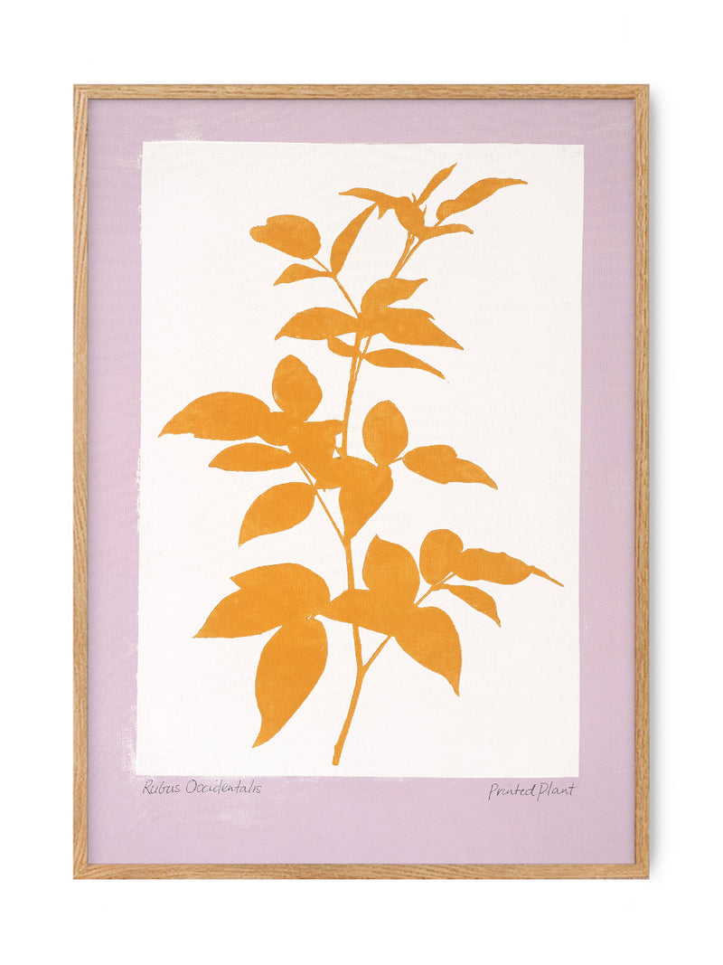 Printedplant - Rubus