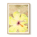 Liat Greenberg - Yellow Flower