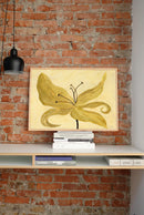 Julita Elbe - Yellow Lily
