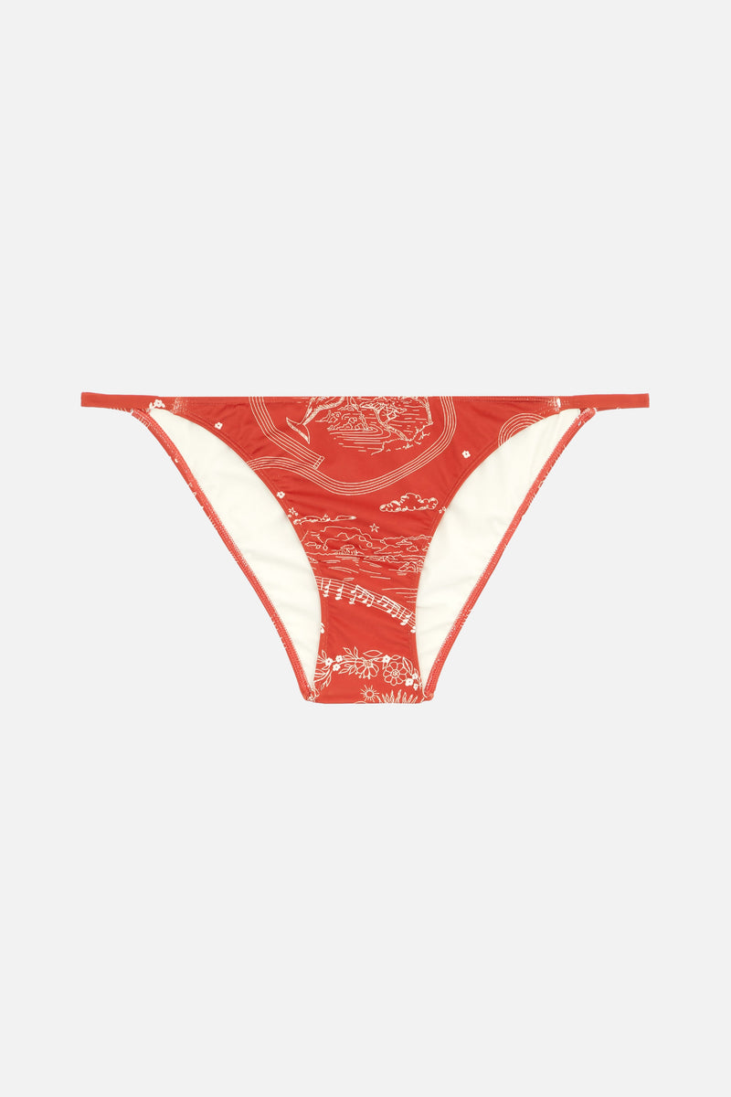 Five Lucio TERRE bikini bottom