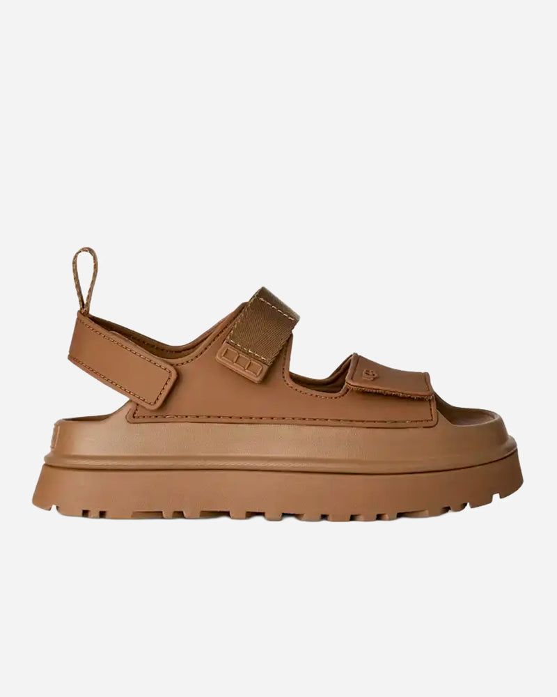 Goldenglow Bison Brown
