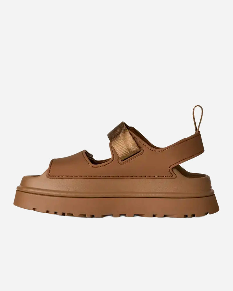 Goldenglow Bison Brown