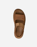 Goldenglow Bison Brown