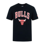 Tee-Shirt Homme New Era Chicago Bulls