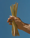 Coffret Matin D'Hiver  - Citronnelle