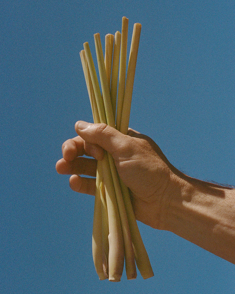 Coffret Matin D'Hiver  - Citronnelle