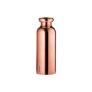 Insulated Travel Bottle